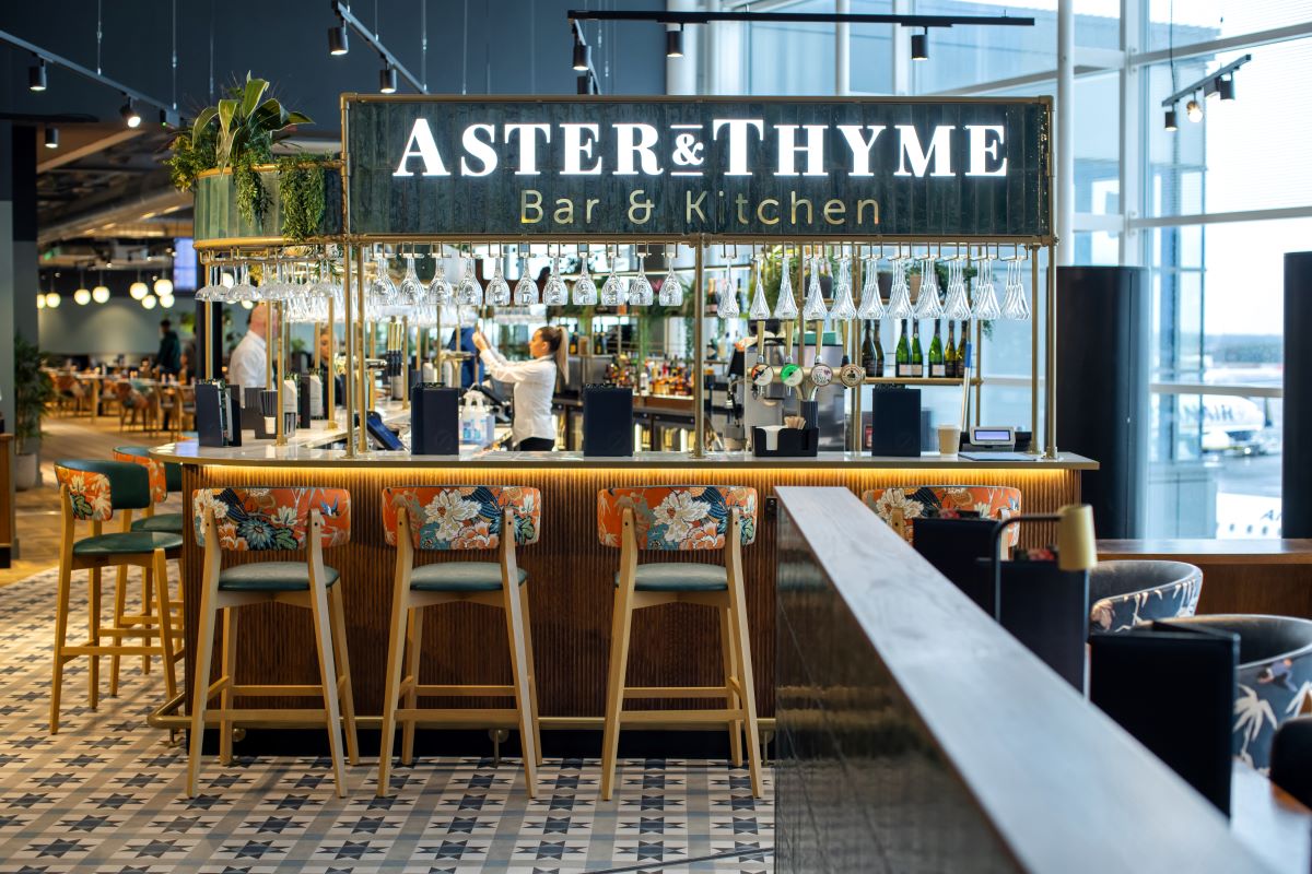 Aster 1.jpg